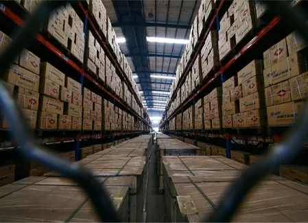 Advantages of Stereoscopic Warehouse